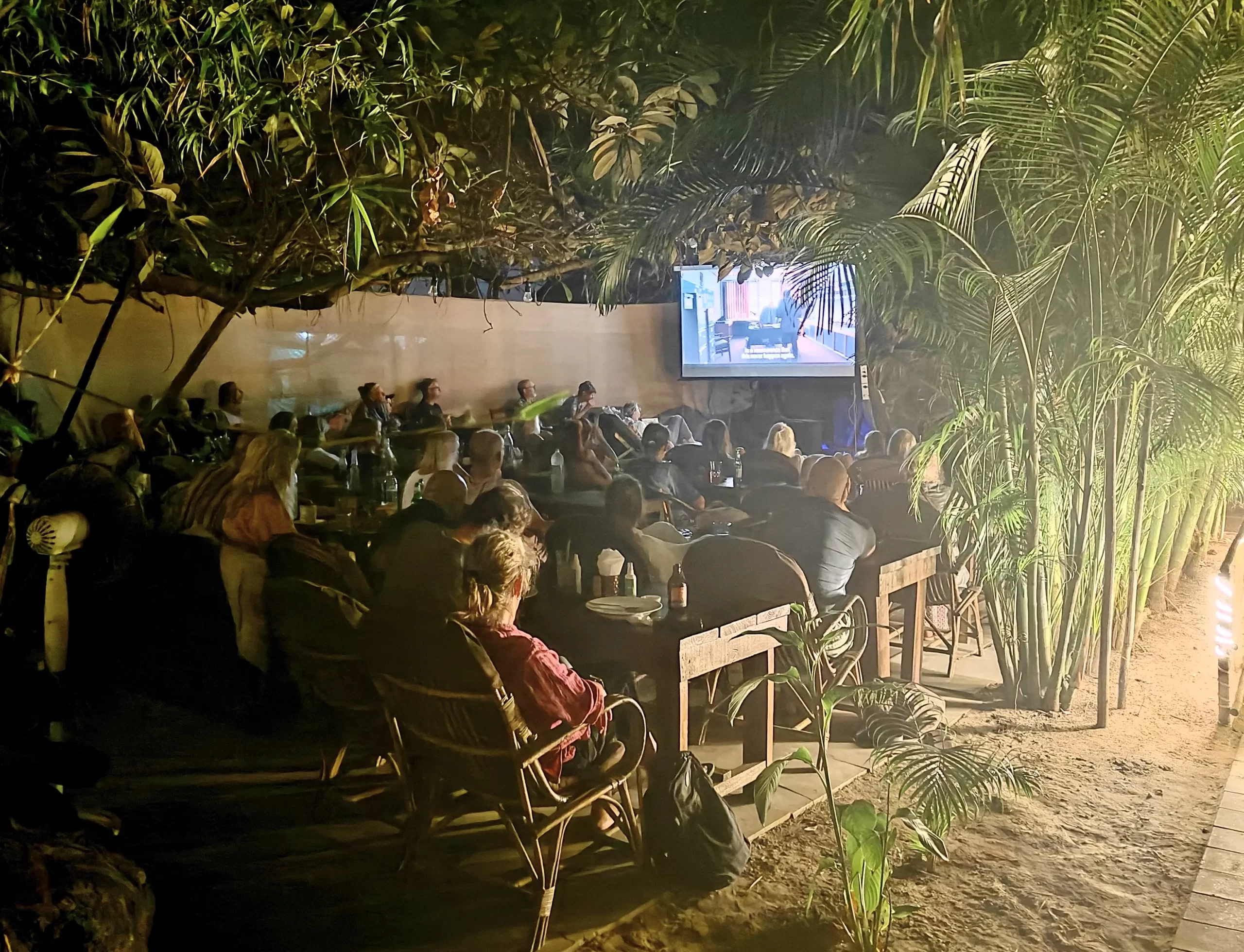 Outdoor movie night under the stars at a local garden