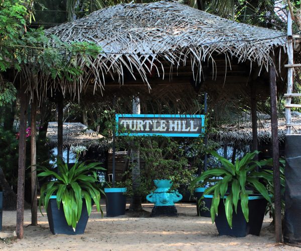 Turtle Hill-1