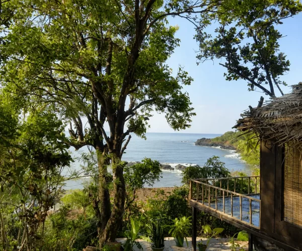 turtle-hill-patnem-beach