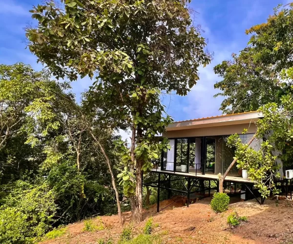turtle-hill-patnem-beach-premium-hill-villa (19)