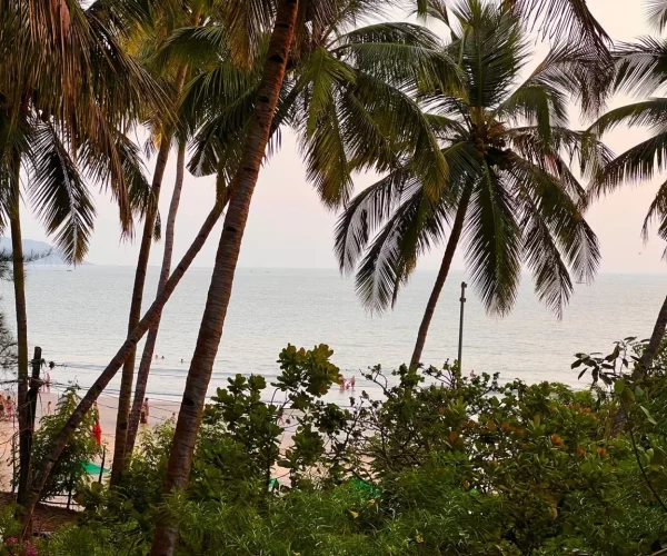 turtle-hill-patnem-beach-prepium-beach-villa (4)