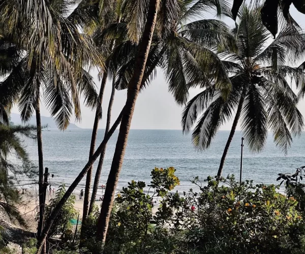 turtle-hill-patnem-beach-prepium-beach-villa (6)